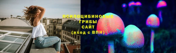 ПСИЛОЦИБИНОВЫЕ ГРИБЫ Алексин