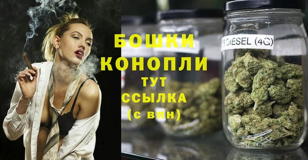 сатива Арсеньев