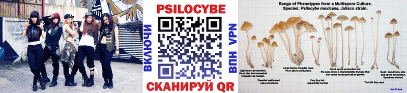 Псилоцибиновые грибы MAGIC MUSHROOMS  Чёрмоз 